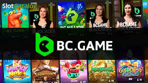 Understanding the BC.Game Payment Process A Comprehensive Guide 662159785