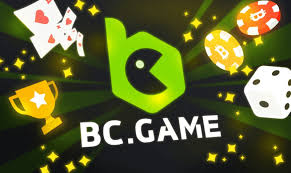 Understanding the BC Game US Login Problem Causes and Solutions