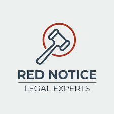 Understanding the Role of the Interpol Lawyers Team 1330433926