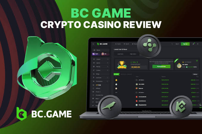 Understanding the BC.Game App Login Process -321802791 Understanding the BC.Game App Login Process -321802791